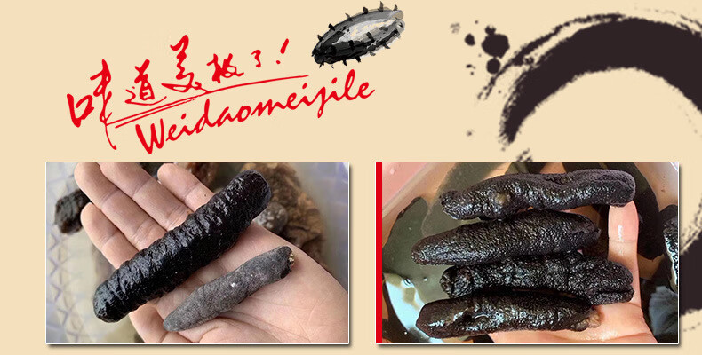 乌参70头乌参黑乌条乌虫海参干货可商用大量现货500g足干1斤30头