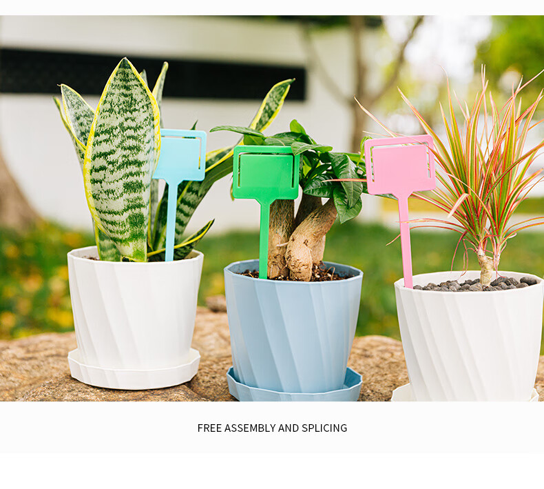 花盆塑料多肉园艺标签园艺插地牌多肉植物标牌记号牌小插牌花卉牌方牌