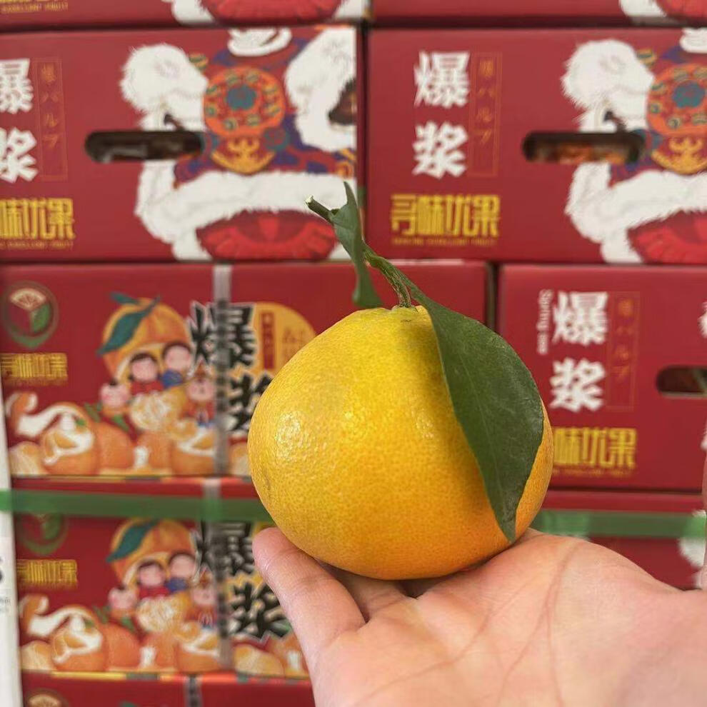 jd速运寻味优果爆浆春见粑粑柑新鲜柑橘子不知火四川丑橘原包装礼盒带