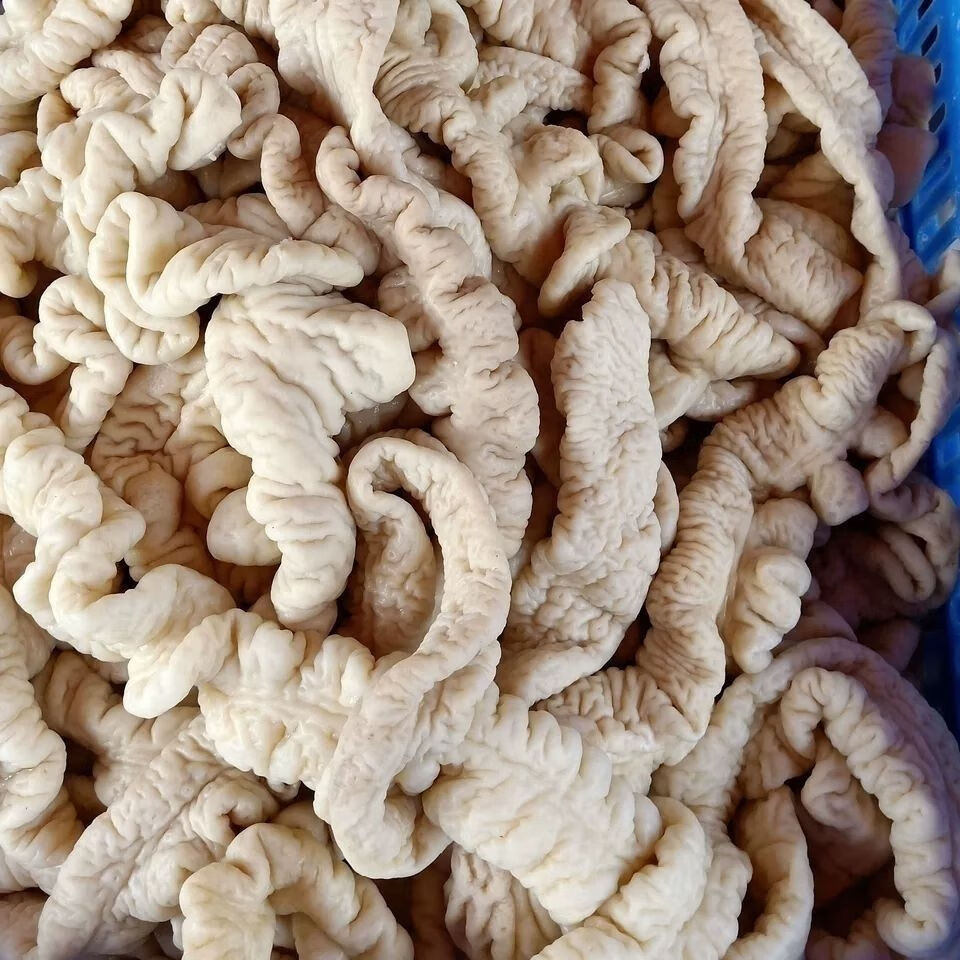 猪大肠半熟猪大肠免洗猪肥肠10斤20斤装家庭食堂饭店食材欧登城娜猪