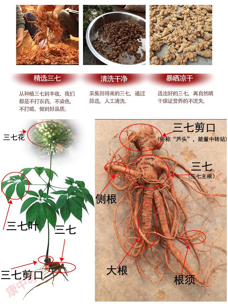 康中尊云南文山特产三七根田七大根三七须传统滋养补品三七根炖鸡汤