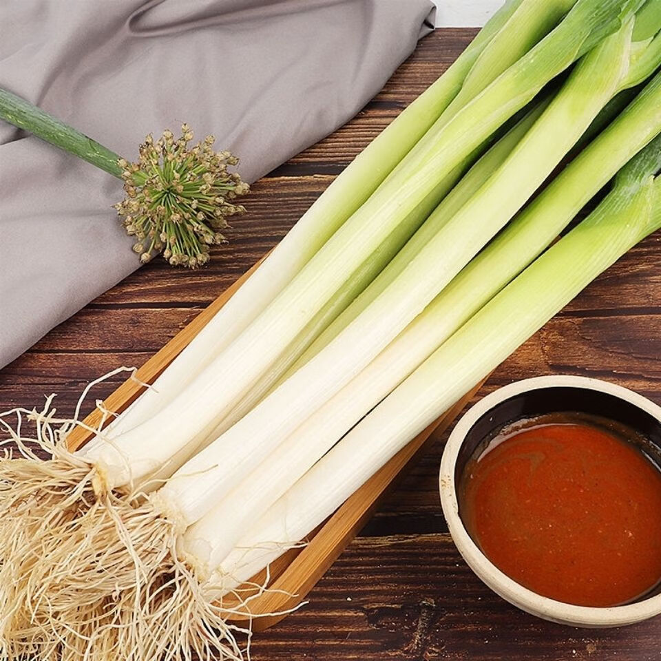 东北吉林大葱新鲜大葱现挖大葱新大葱绿色大葱农家肥大葱 三斤【图片 