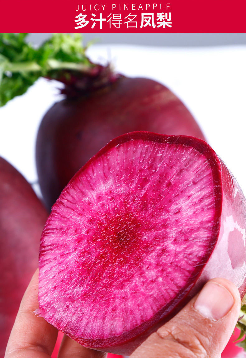 紫美人萝卜3斤【图片 价格 品牌 报价】-京东