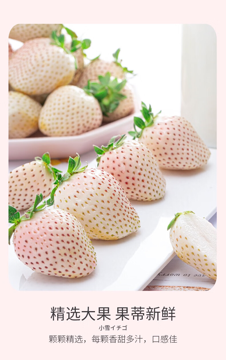 a级(顺丰空运)淡雪草莓天使白草莓净重2斤4a优果日本品种孕妇水果