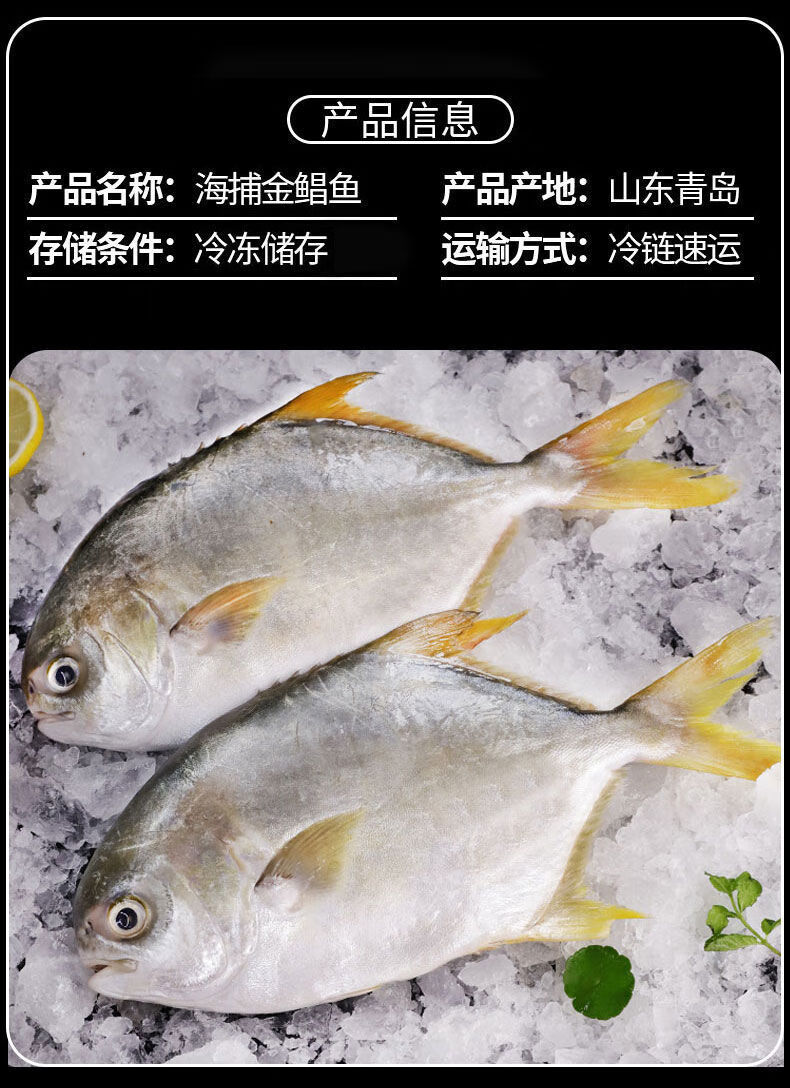 新鲜特大金鲳鱼海捕金昌鱼鲜活冷冻平鱼武昌鱼海鲜水产批发花约朵娜