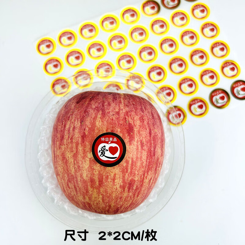 95ed33edc7b13302.jpg