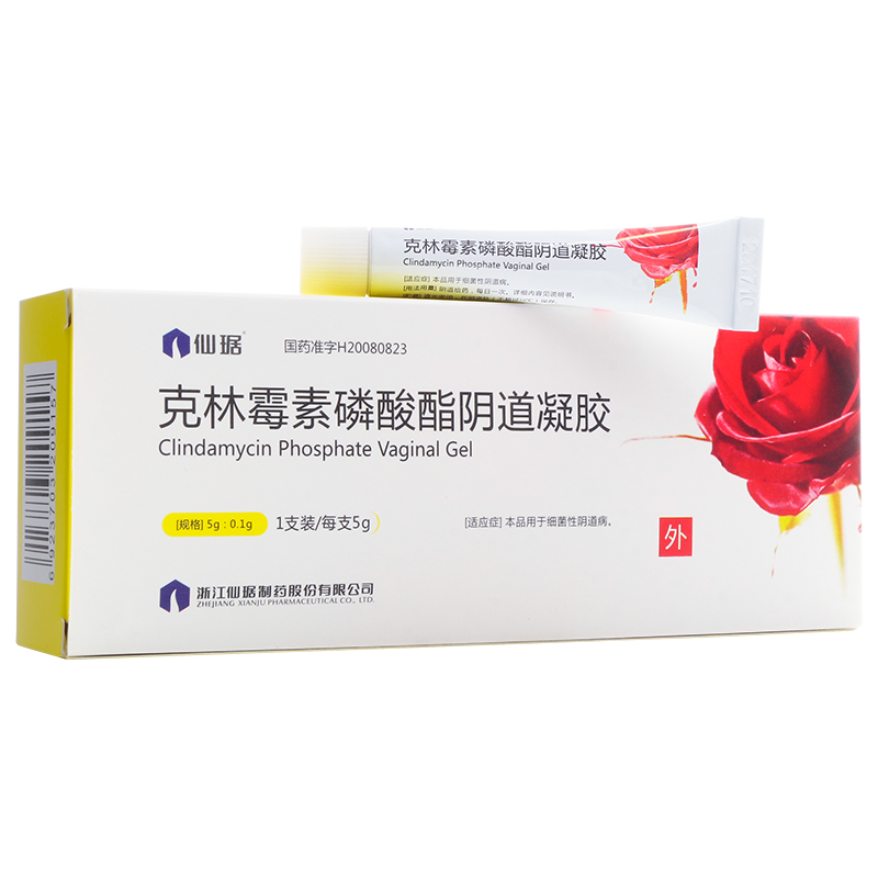 仙琚克林霉素磷酸酯阴道凝胶5g01g附聚丙烯预灌封阴道用给药器一个