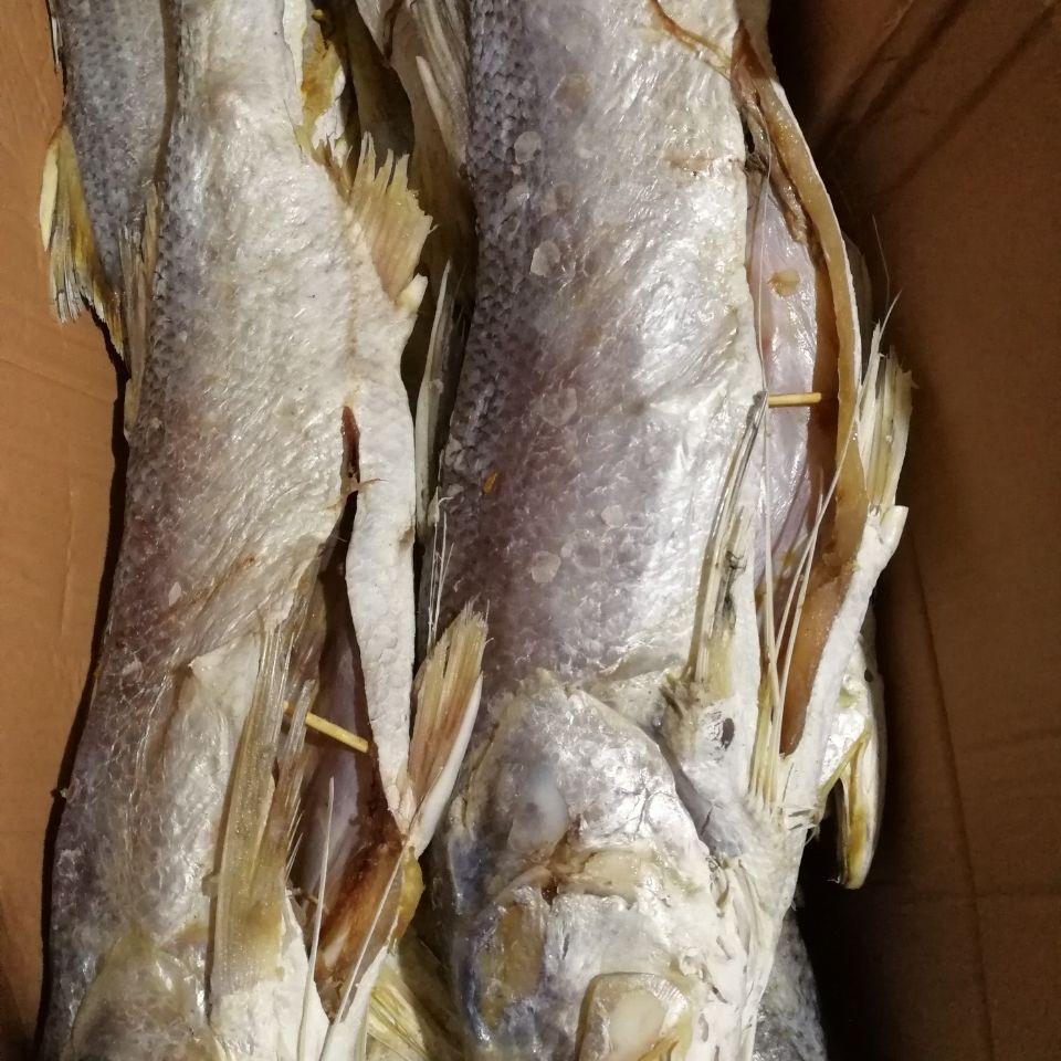 老咸鱼花鲅鱼马友鱼干咸鳎米籽光鱼咸马鲛鱼大咸鱼各种规格咸鱼 燕