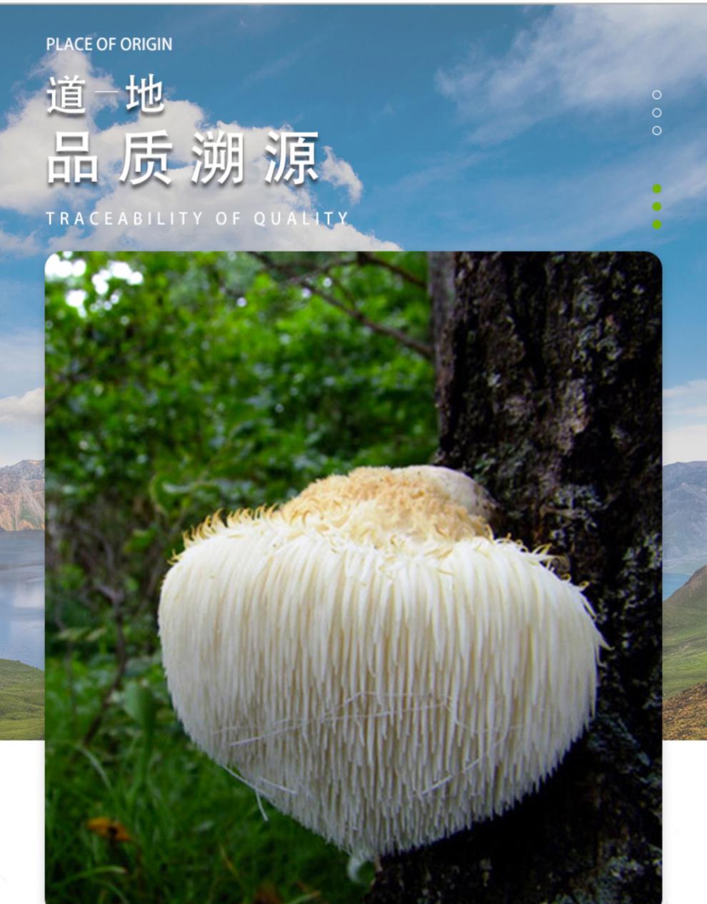 长白山猴头菇干货200g猴头菇新鲜猴头菇中药丁香猴头菇茶