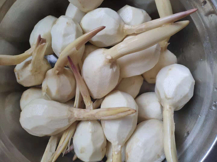 茨菇新鲜湖北天门特产农家自种现挖白茨菇马蹄鲜慈姑粉糯蔬菜 大号