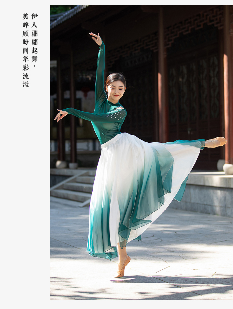 菲梵舞后古典舞身韵烫钻纱衣舞韵练习服飘逸仙气渐变大摆裙演出服