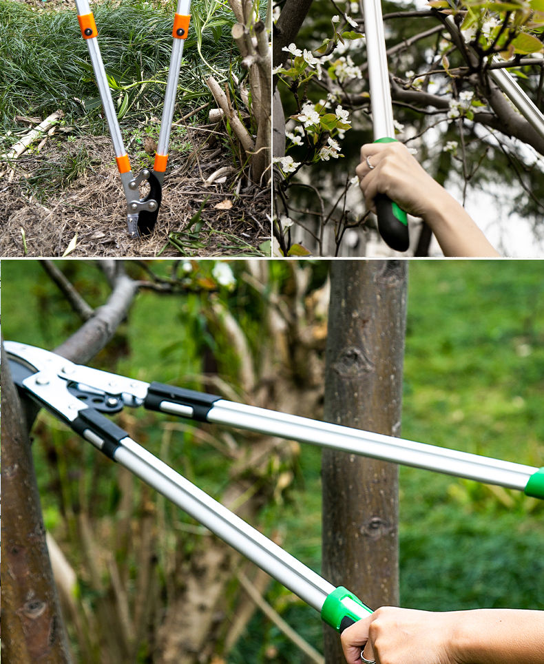 修剪树枝果树剪刀粗枝剪省力园艺伸缩强力园林工具剪刀新款伸缩大力士