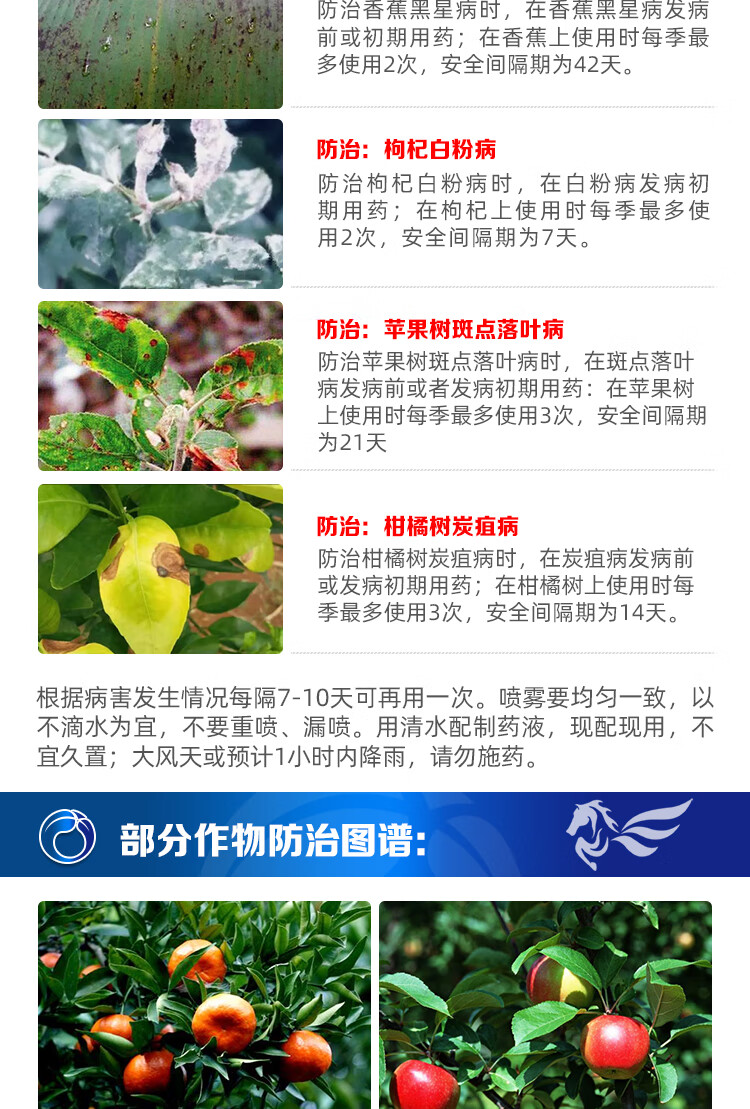 柑橘白粉病用什么药效果好(柑橘上的白粉)