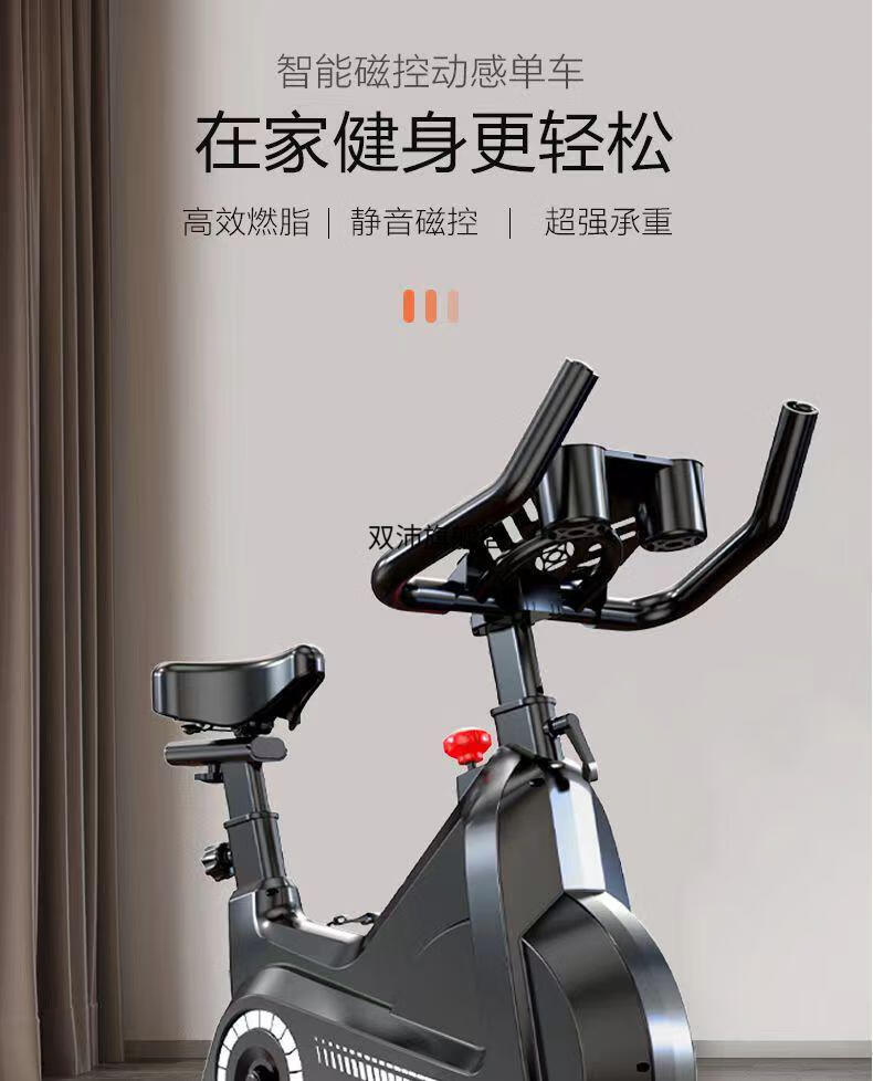 跑步机式自行车户外动感单车家用运动器材磁控小型室内健身自行车智能