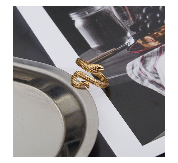 卡尔文·克莱恩(calvin klein)蛇形戒指原创设计男潮女小众设计感钛钢