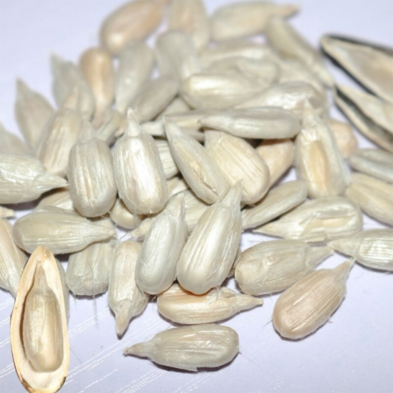 内蒙古特米豆儿休闲零食原味手剥大瓜子炒买3袋aa180g3袋