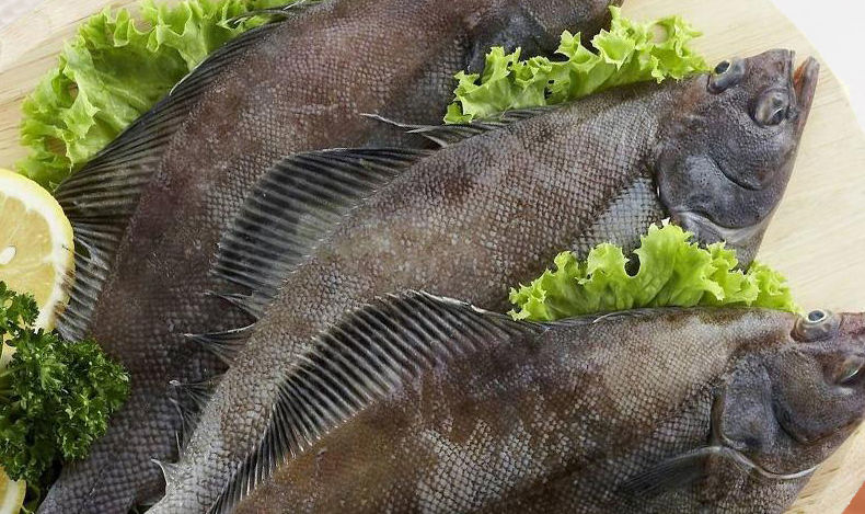 顺丰直达 整条深海鸦片鱼比目鱼鸦片鱼新鲜鲽鱼冷冻水产 【4两-8两/条