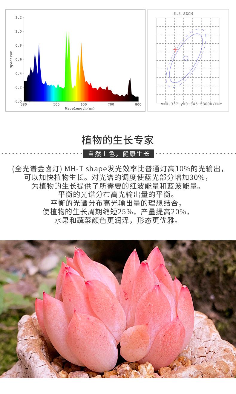 金卤灯uvb全光谱家用植物生长灯多肉补光灯仿太阳上色防徒 落地双头