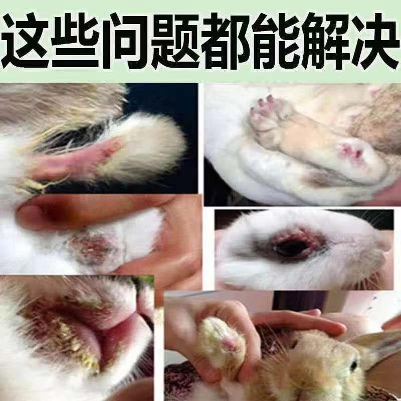 兔子皮肤病专用药兔癣真菌感染脚皮炎耳朵脱毛掉毛药喷雾