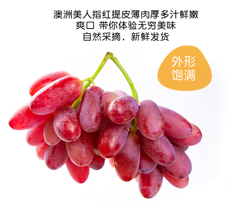 美人指红提 无耔提子新鲜水果孕妇手指葡萄黑提 1000g【图片 价格