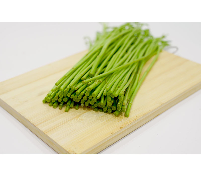 新鲜芦蒿农家自种产地直销3斤藜蒿去叶去根黎蒿篱蒿