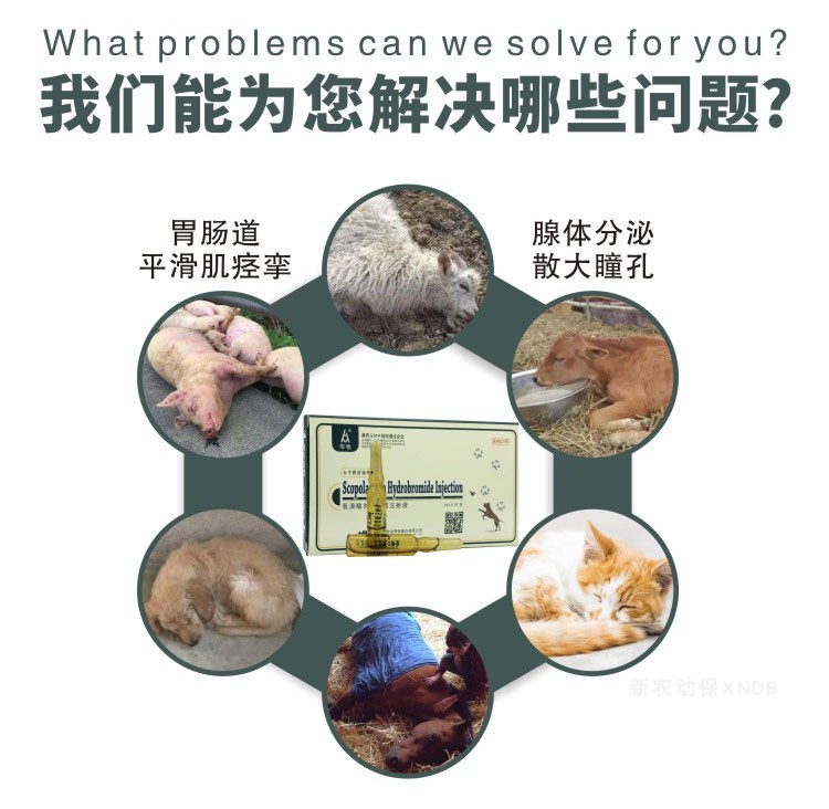 兽用兽药6542针剂猪牛羊犬胃肠绞痛呕吐解毒氢溴酸东莨菪碱注射液腺体