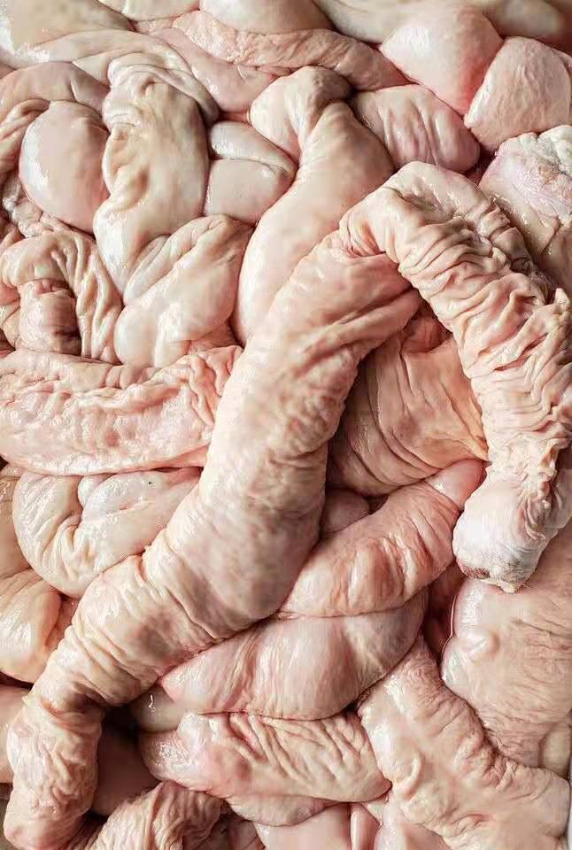 新鲜猪大肠黑猪大肠黑肠子肥肠大肠头整条肠子 3斤猪大肠【图片 价格