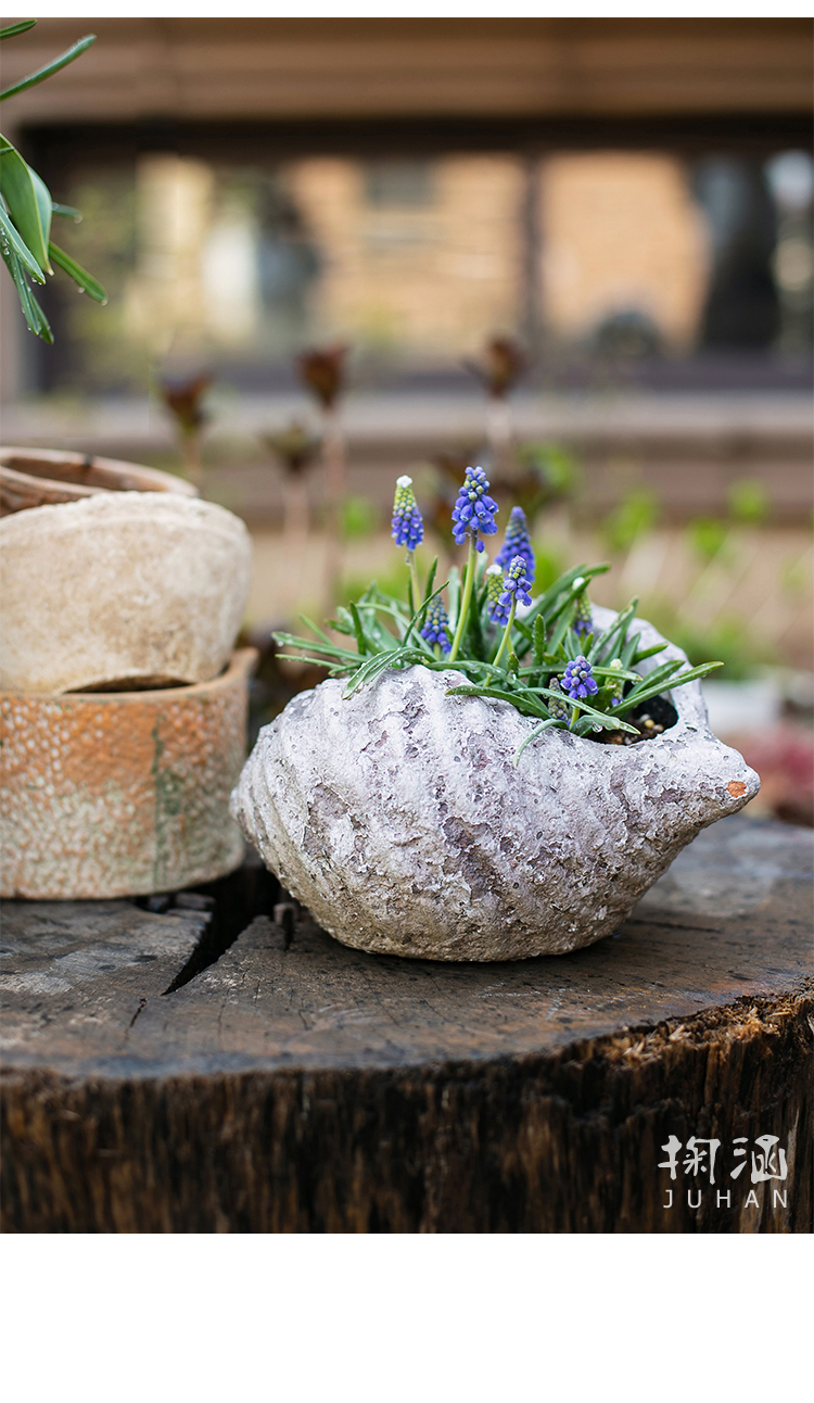 掬涵个性贝壳海螺花盆复古多肉植物盆透气陶盆铜钱草绿萝盆贝壳花器