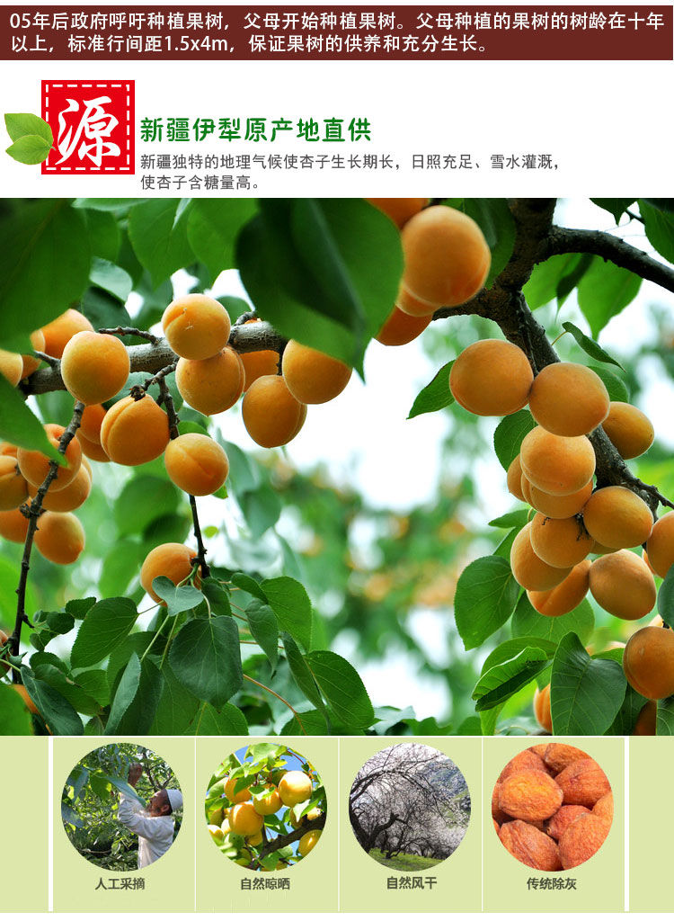 新疆吊死干杏干500g肉厚核香一杏两吃杏子无添加杏干250g500g袋