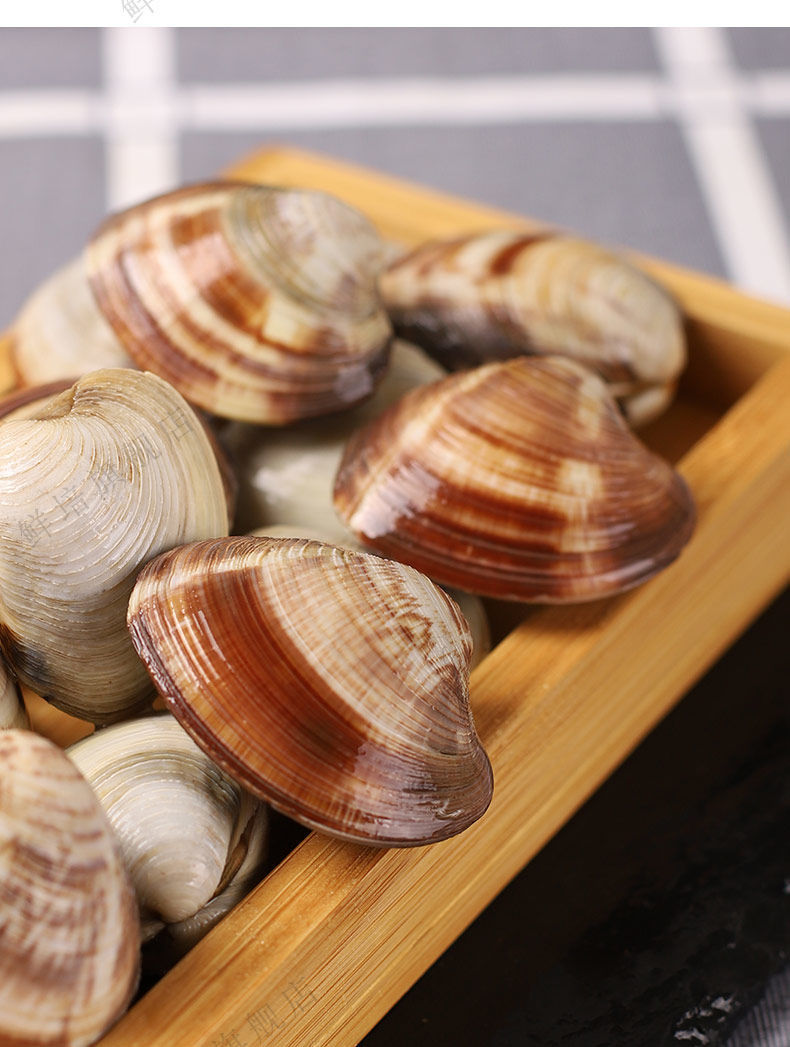 大蛤蜊鲜活大美贝超大花蚬子新鲜文贝花蛤文蛤海捕贝类海鲜花甲 二斤
