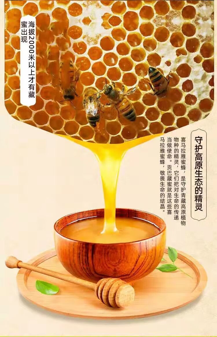 九吉公贡巴藏蜜蜂蜜纯正天然野生百花条装高原土蜂蜜