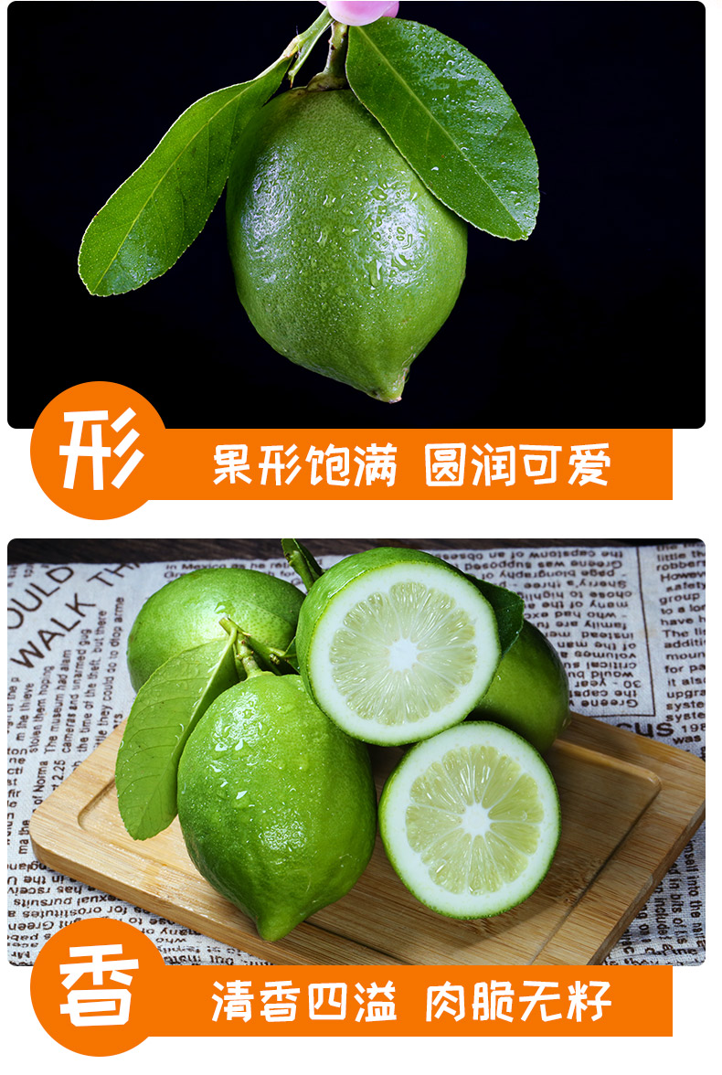 广东香水柠檬一级新鲜现摘当应季无籽青皮薄果奶茶店专用顺丰500g30