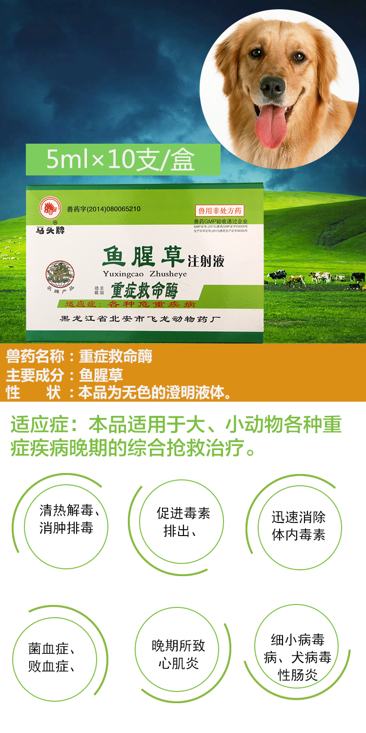 马头牌鱼腥草注射液狗狗细小犬瘟热重症救命酶综合抢救治疗便血肠炎5