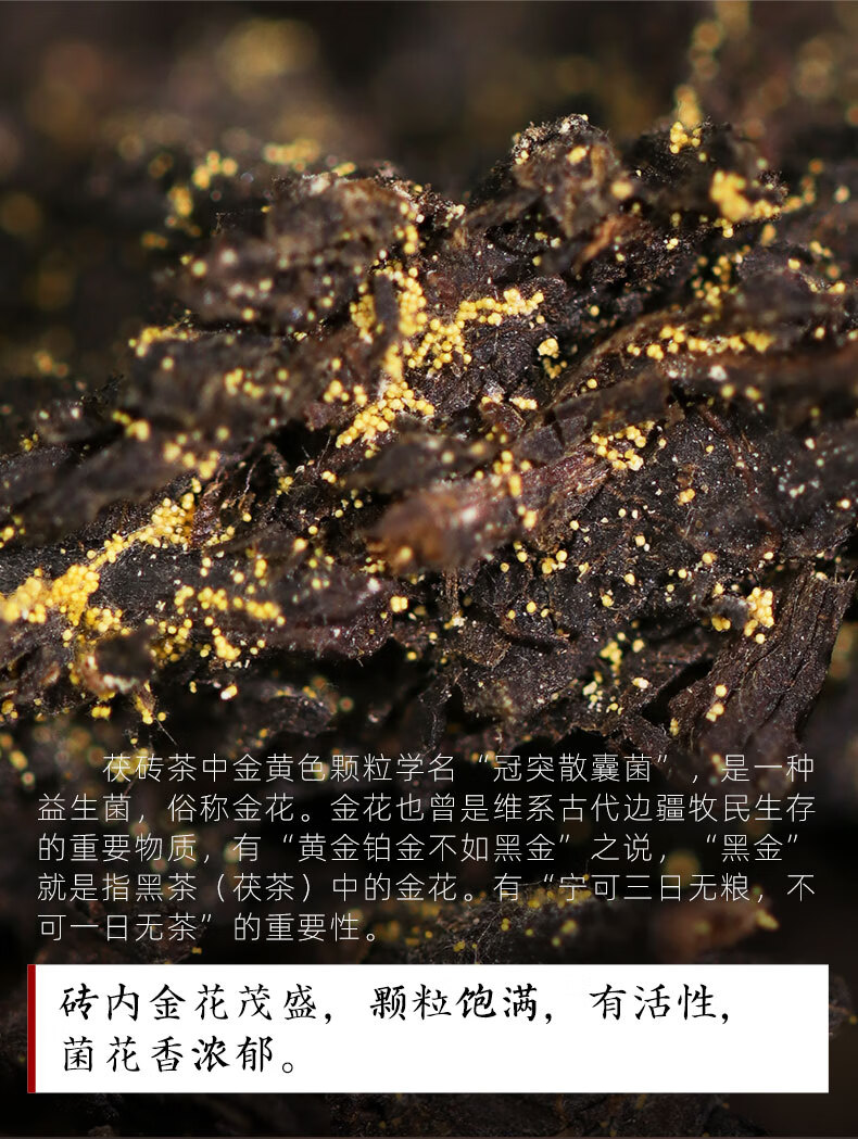 黑茶湖南安化安化黑茶茯砖茶正宗金花茯茶白沙溪御品茯茶318g