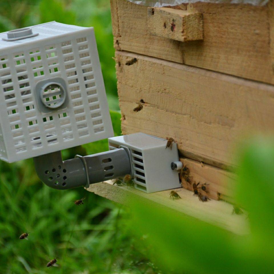 芊阙中蜂自动收王分蜂器 除雄蜂神器 导王管 隔王片 多功能自动分蜂器