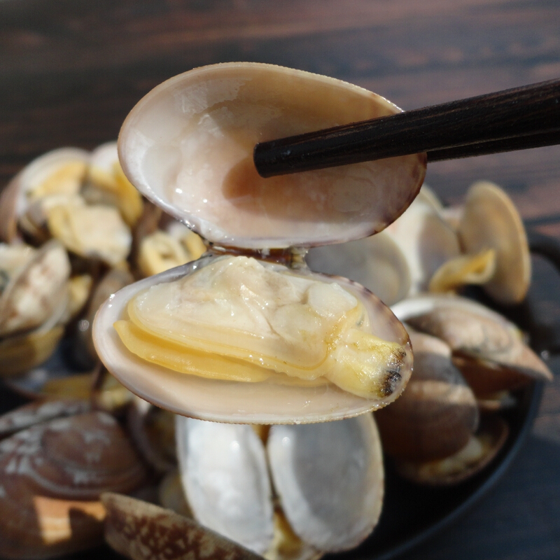 即食花蛤辽宁特产海鲜零食沙蚬子原味花甲蛤蜊扇贝500克 白蚬子500克