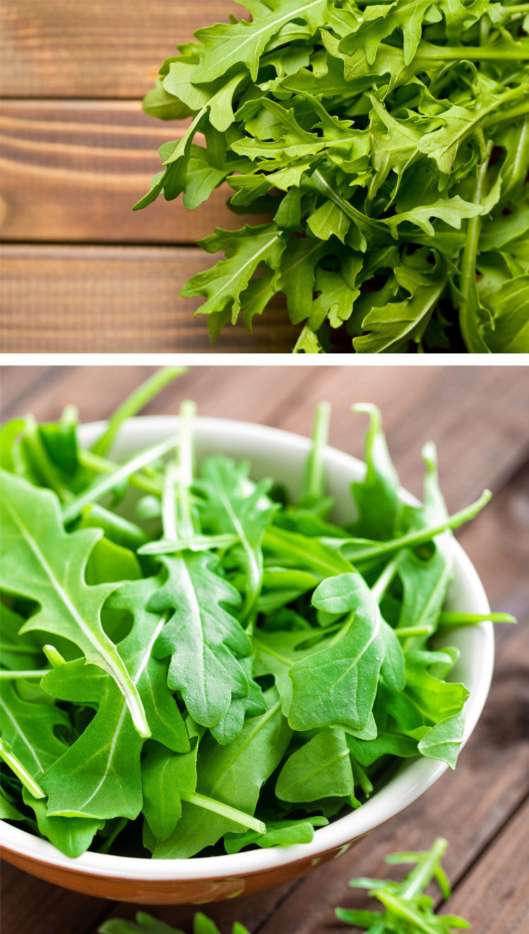 新鲜芝麻菜半斤 现摘精选 火箭菜 蔬菜沙拉 西餐生菜 野芝麻菜 2斤装