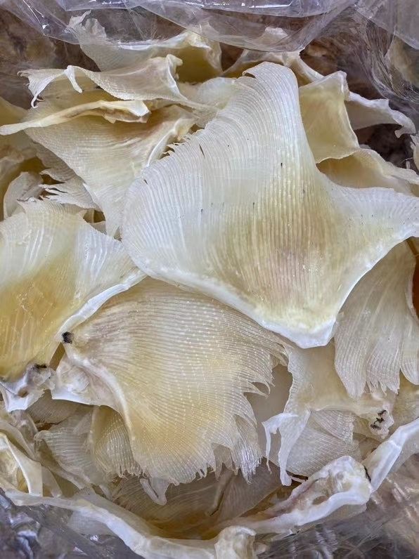 金钩翅250g袋多规格淡晒浦海狗翅天星翅煲汤材料海产干货大号浦鱼翅