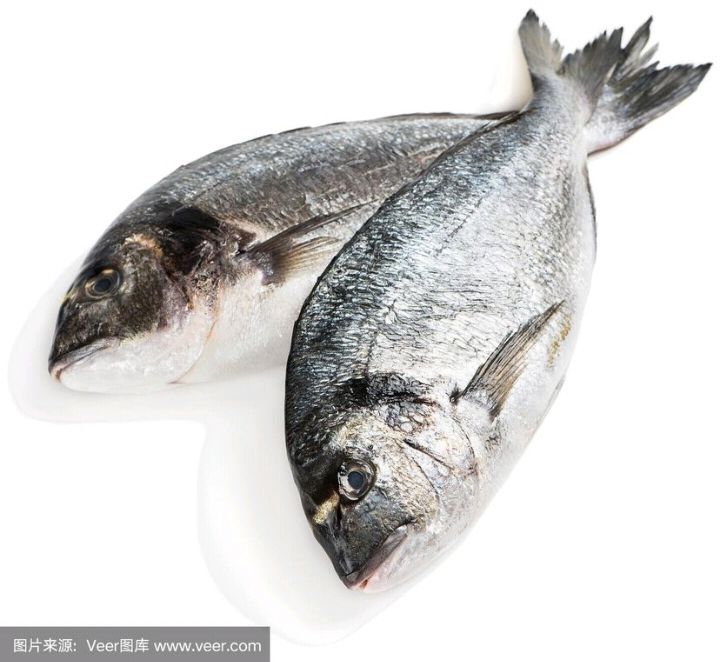 银鲷鱼金头鲷黑鲷鱼黑加吉鱼金头鲷金鲷鱼石斑鱼无小刺真空包装 腾旺