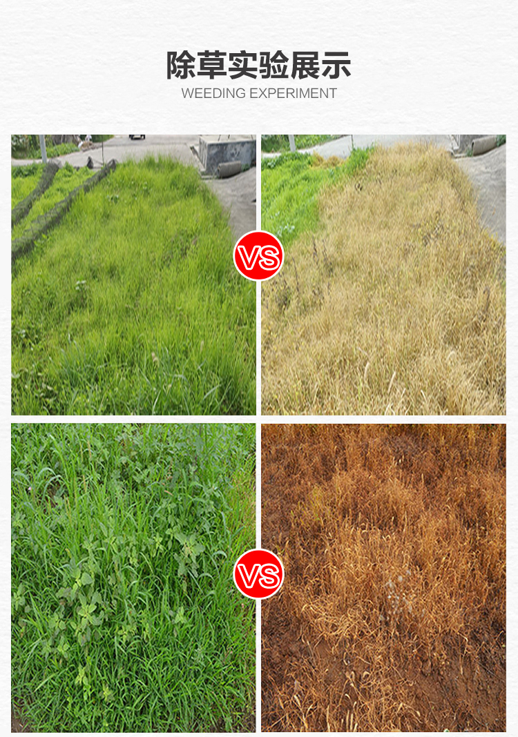 敌草快除草剂敌草怏一扫光强力除草果园荒地灭生性草铵膦除草剂8kg