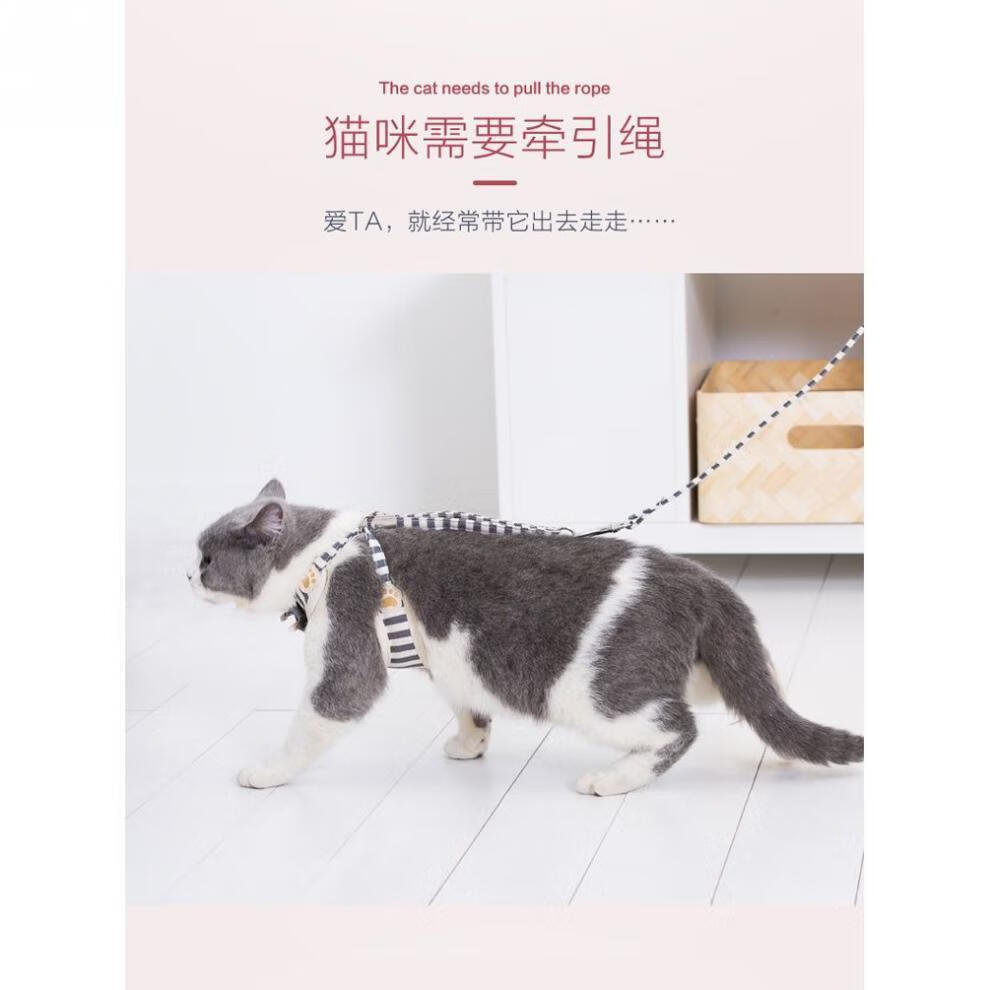 一根绳子怎么做能绑猫图片
