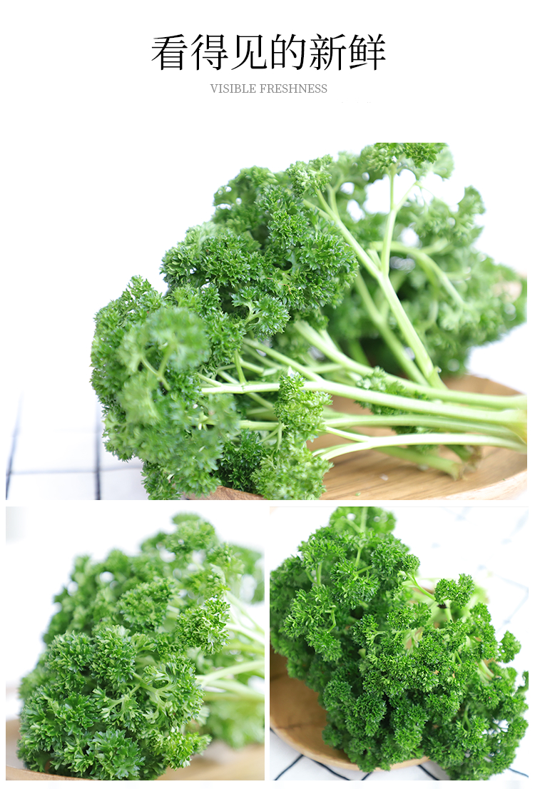 荷兰芹 皱叶欧芹叶新鲜蔬菜蕃茜洋芫荽西餐法香 500g