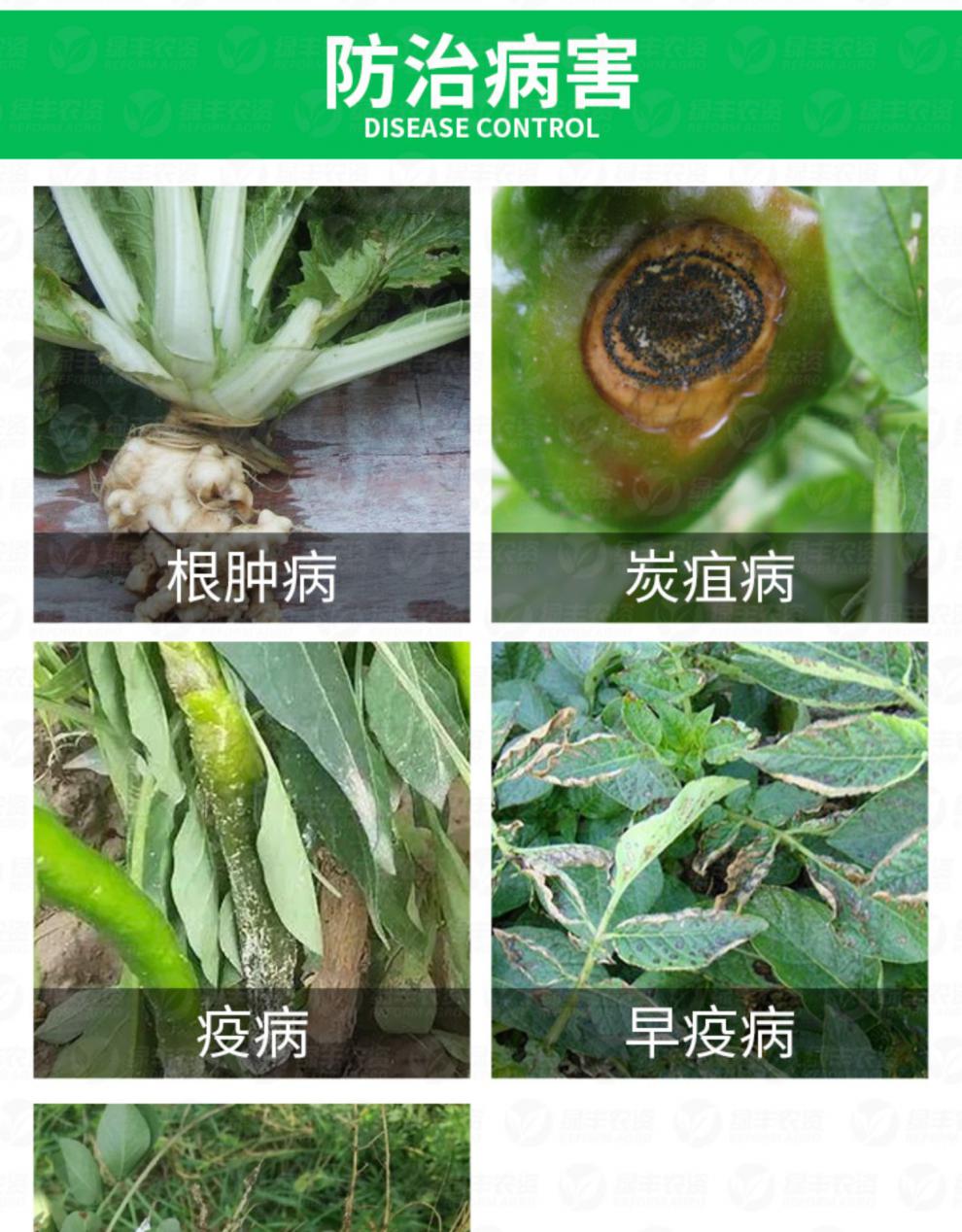 福帅得氟啶胺辣椒炭疽病大白菜根肿病马铃薯晚早疫病进口杀菌剂农药正