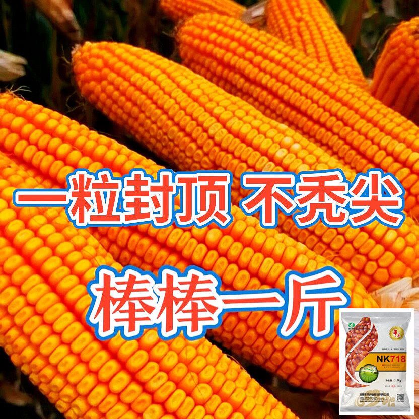 9fdd582b3005592b.jpg