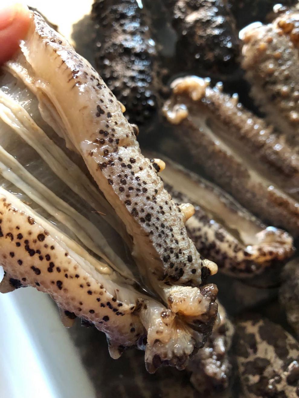 美国进口海参 南美参 美国进口海参 淡干墨西哥湾刺参 高高涨发营养好