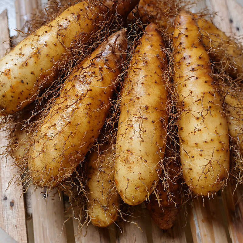 毛薯猪仔薯茂名甜薯粉糯香山药新鲜5斤 小果 3斤【图片 价格 品牌