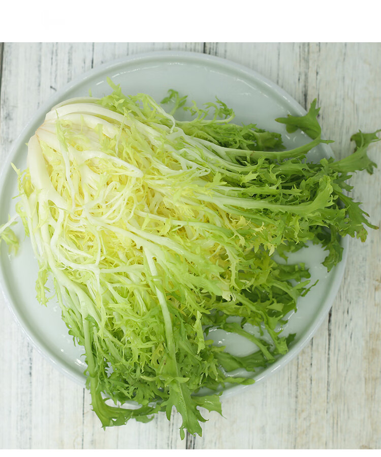 新鲜苦菊生菜2斤黄心苦叶生菜即食蔬菜沙拉食材黄九芽狗芽菜苦苣生鲜