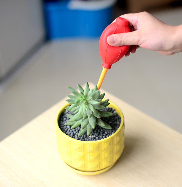 多肉清洁植物园艺工具气吹铲土杯土铲勺起苗器镊子喷壶浇水壶刷子蓝色