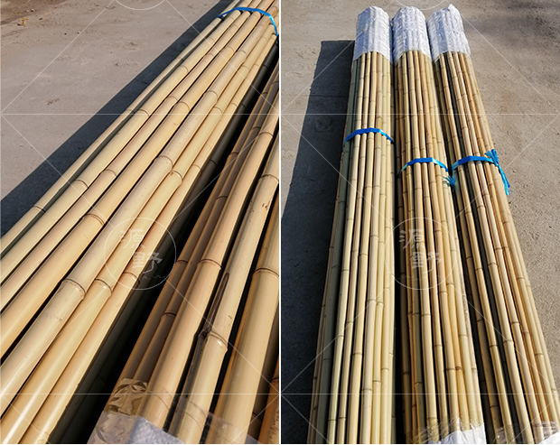 园艺 防腐竹竿装修干竹子装饰竹杆隔断装潢毛竹杆粗竹旗杆细跳舞白