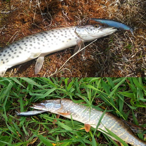 银刀米诺翘嘴缓沉米诺黑鱼幻影路亚饵11厘米13.